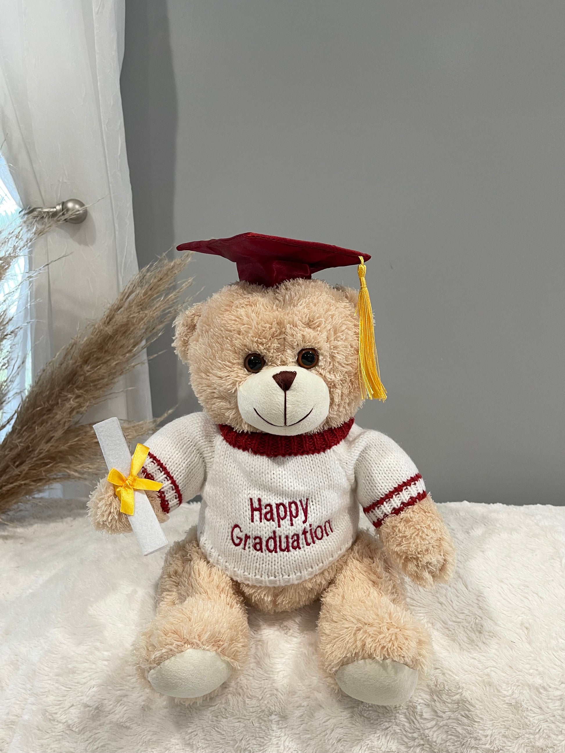 acuarela graduación osito de peluche oso ai generativo 23953896 PNG acuarela graduación osito de peluche oso ai generativo 23953896 PNG
