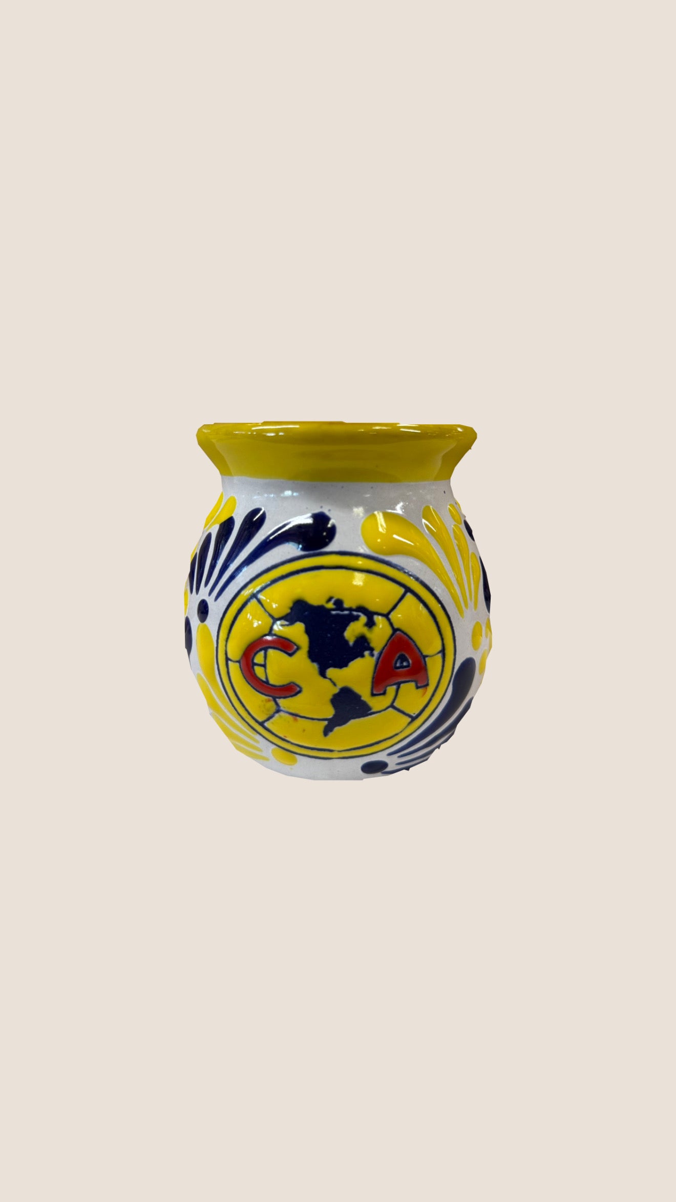 America Mug
